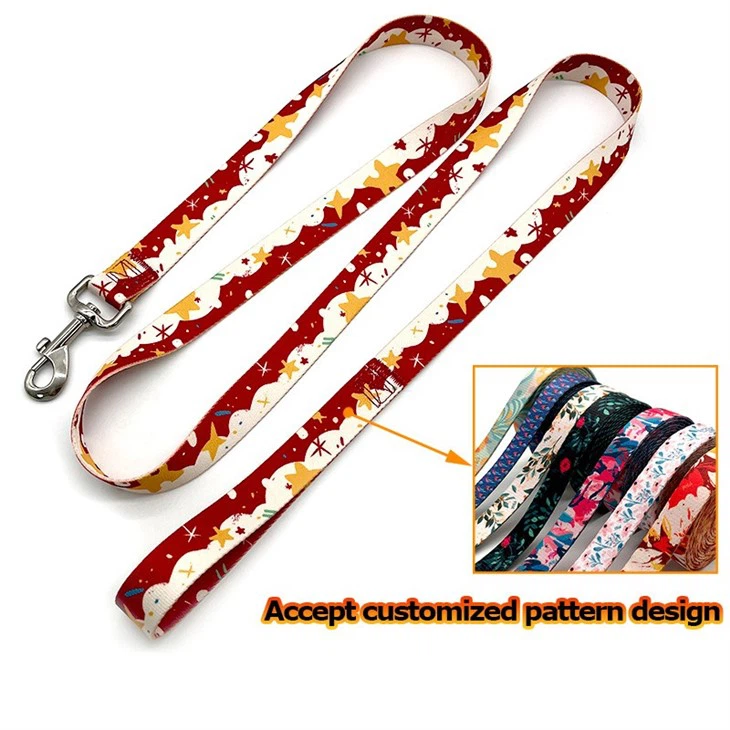 Printed Polyester Dog Leash And Collar with Handle